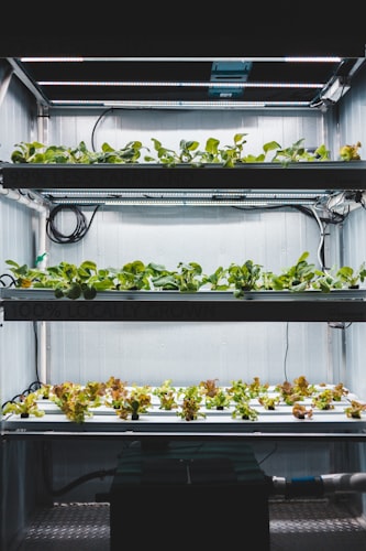 Advanced LED Grow Light