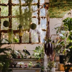 Hydroponic System Starter Bundle