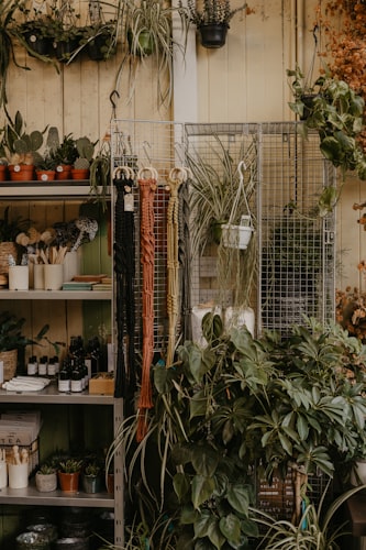 Hydroponic Nutrient Solution