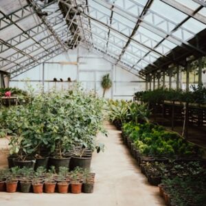 Hydroponic System Maintenance Guide